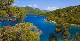 Mljet