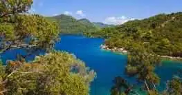 Mljet